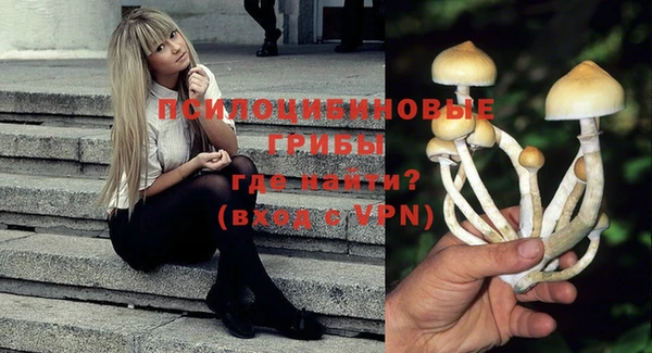 мескалин Балахна