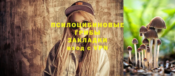 бошки Аркадак