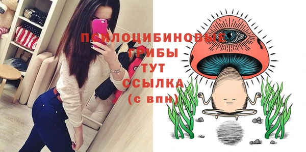 бошки Аркадак