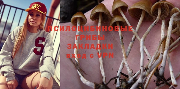 бошки Аркадак