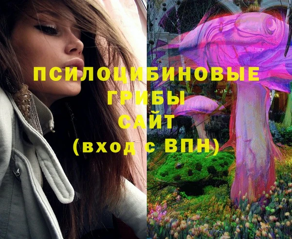 mix Армянск