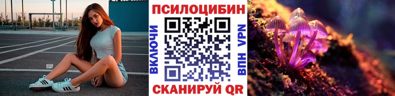 kraken вход  наркотики  Певек  Псилоцибиновые грибы MAGIC MUSHROOMS 